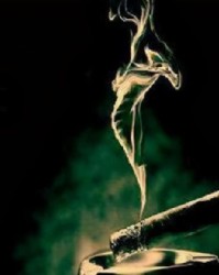  埃弗顿保级关键战全取三分续命成功